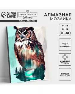 Алмазная мозаика с полным заполнением на холсте с подрамником «Филин», 30 х 40 см арт. СМЛ-275187-1-СМЛ0009929765
