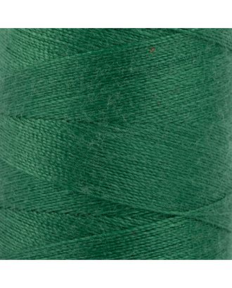 Швейные нитки (полиэстер) 50/2 (201-300), 4570м арт. ГММ-954-9-ГММ0009701