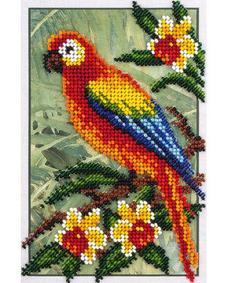 "Klart" набор для вышивания 8-144 "Попугай" арт. ГММ-101900-1-ГММ018195778752