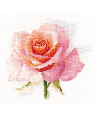 Набор для вышивания "Алиса" 2-40 "Дыхание розы. Нежность" арт. ГММ-103730-1-ГММ056723876352