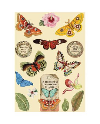 Набор высеченных декоративных элементов "Амазония - бабочка" арт. ГЕЛ-14943-1-ГЕЛ0168515