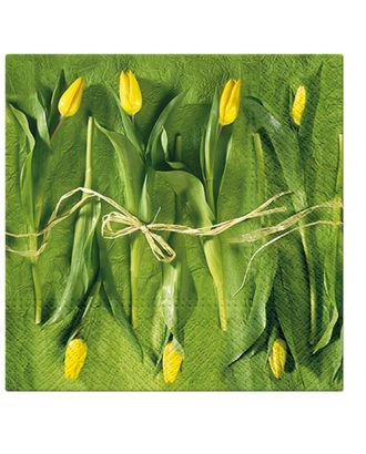 Салфетки трехслойные для декупажа, коллекция "Lunch" PAW Decor Collection "Свежие тюльпаны" арт. ГЕЛ-26077-1-ГЕЛ0172109