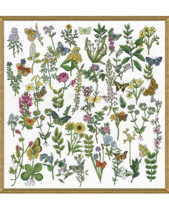 Набор для вышивания "Красота Ботаники" арт. ГЕЛ-26718-1-ГЕЛ0173991