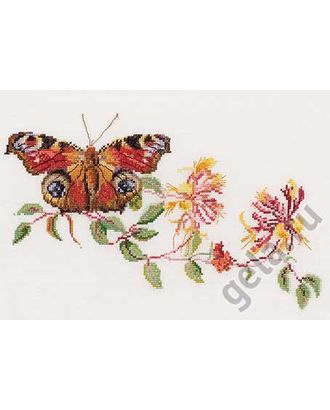 Набор для вышивания "Бабочка-Жимолость", канва аида 18 ct арт. ГЕЛ-20403-1-ГЕЛ0035010