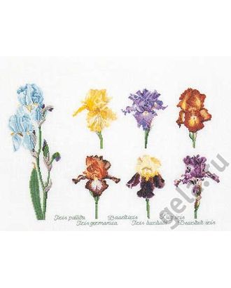 Купить Набор для вышивания "Группа цветов ириса", канва лён 32 ct арт. ГЕЛ-1007-1-ГЕЛ0035073 оптом в Усть-Каменогорске