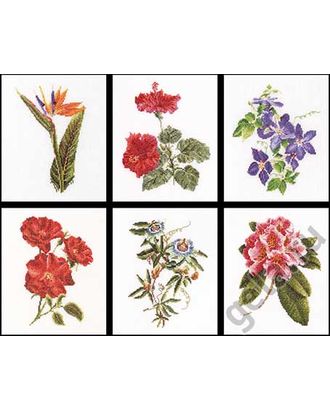 Набор для вышивания "Шесть цветочных исследований", канва лён 36 ct арт. ГЕЛ-13183-1-ГЕЛ0035076