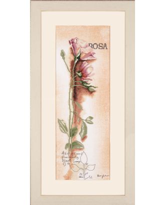 Набор для вышивания "Rosa - Botanical" арт. ГЕЛ-1881-1-ГЕЛ0074743