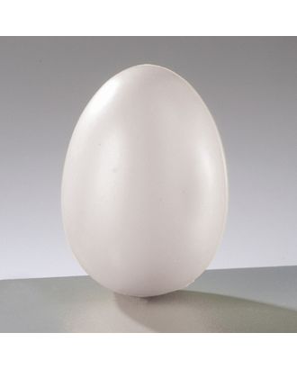 Купить Пластик Заготовка "Яйцо", 40 х 60 мм арт. ГЕЛ-17536-1-ГЕЛ0086549 оптом в Беларуси