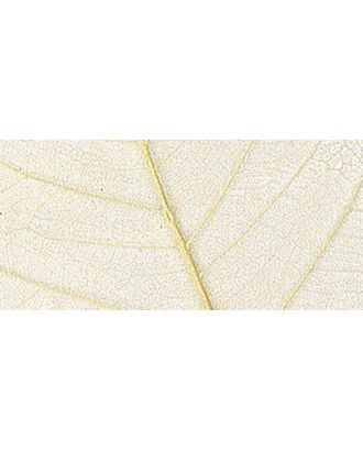 Листья сухие для декора арт. ГЕЛ-983-1-ГЕЛ0121232