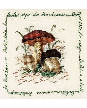 Набор для вышивания:"BOLET CEPE DE BORDEAUX" (Белый гриб) арт. ГЕЛ-9999-1-ГЕЛ0163885