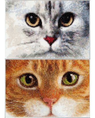 Набор для вышивания "Два котёнка", канва Aida 16 ct арт. ГЕЛ-12928-1-ГЕЛ0113808