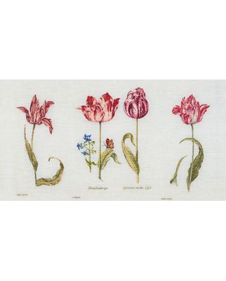 Набор для вышивания "Тюльпаны Джейкоба Маррель и Джудит Лейстер, 16-й век", канва лён 36 ct арт. ГЕЛ-13555-1-ГЕЛ0113726