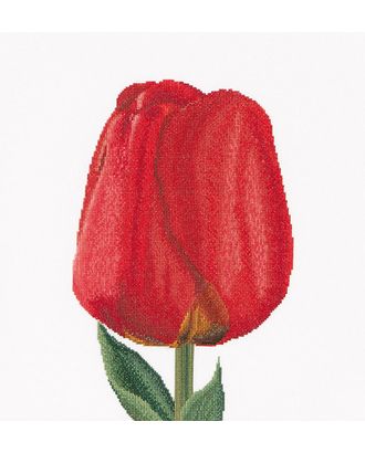 Набор для вышивания "Красный тюльпан", канва Aida 18 ct арт. ГЕЛ-17298-1-ГЕЛ0113805