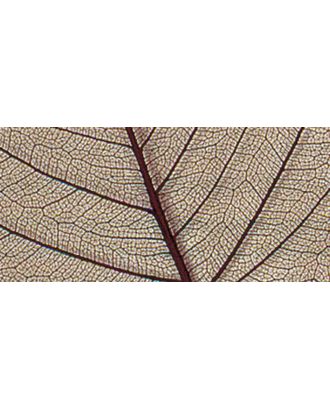 Листья сухие для декора арт. ГЕЛ-17827-1-ГЕЛ0121223