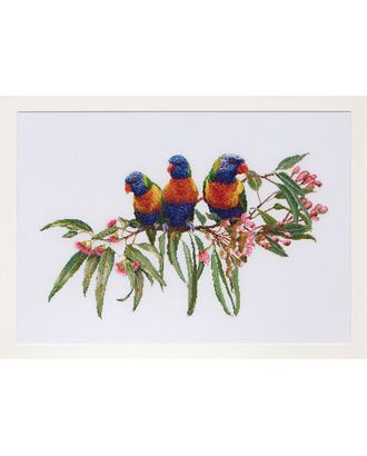 Набор для вышивания "Стайка попугаев", канва Aida 16 ct арт. ГЕЛ-25002-1-ГЕЛ0125406