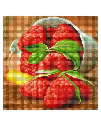 Картина мозаикой Molly Ягода малина (31 Цвет) 30х30 см арт. МГ-120865-1-МГ1022739