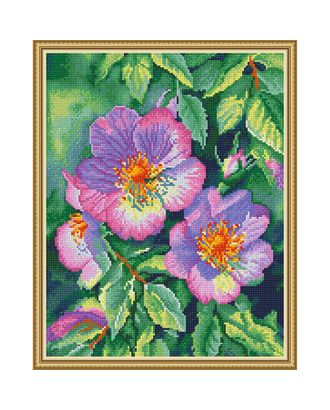 Картина мозаикой с нанесенной рамкой Molly Дикая роза (32 цвета) 40х50 см арт. МГ-120876-1-МГ1022761