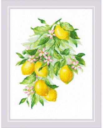 Набор для вышивания РИОЛИС Яркие лимоны 30х40 см арт. МГ-121121-1-МГ1023602