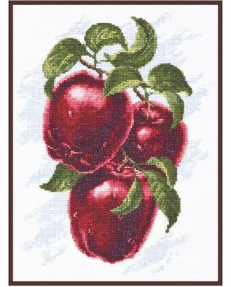 Набор для вышивания ПАЛИТРА Спелые яблоки 20х25 см арт. МГ-42856-1-МГ0500777