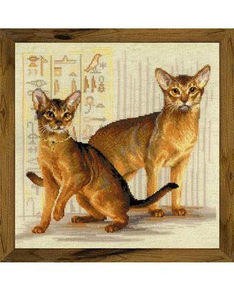 Набор для вышивания РИОЛИС Абиссинские кошки 40х40 см арт. МГ-107618-1-МГ0830671