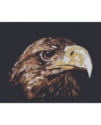 Набор для вышивания ПАЛИТРА Взгляд орла 26х22 см арт. МГ-17557-1-МГ0167863