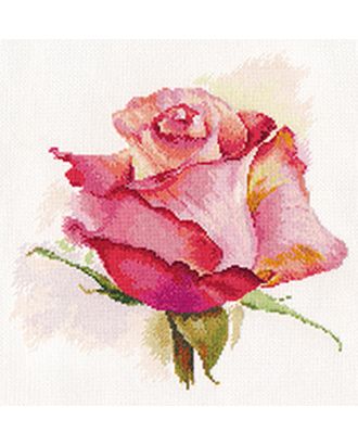 Набор для вышивания АЛИСА Дыхание розы. Очарование 24х24 см арт. МГ-46858-1-МГ0585662