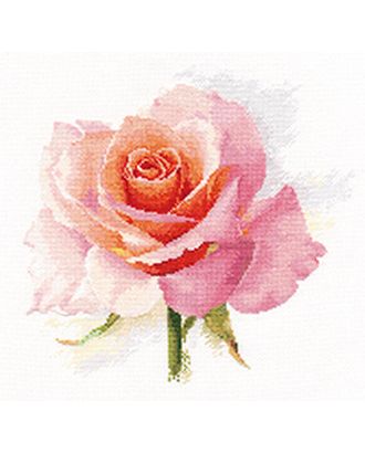 Набор для вышивания АЛИСА Дыхание розы. Нежность 24х24 см арт. МГ-46859-1-МГ0585663
