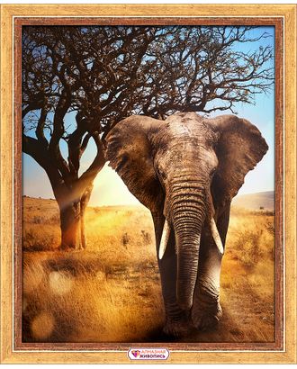Набор для изготовления картин АЛМАЗНАЯ ЖИВОПИСЬ «Африканский слон» 40х50 см арт. МГ-108916-1-МГ0806232