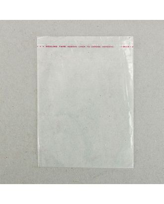 Пакет с липкой лентой 12,5 х 16,5/4 см, с отверстием арт. СМЛ-42263-1-СМЛ0001319133