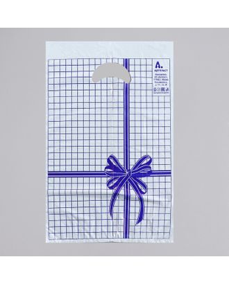 Пакет "Синяя клетка", полиэтиленовый с вырубной ручкой, 22 х 30 см, 12 мкм арт. СМЛ-42681-1-СМЛ0001411042
