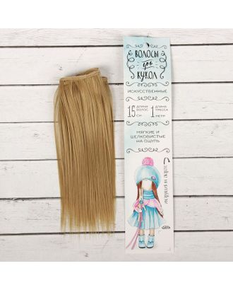 Купить Волосы - тресс для кукол "Прямые" длина волос 15 см, ширина 100 см, цвет № 24 арт. СМЛ-3255-1-СМЛ2125889 оптом в Новочеркасске
