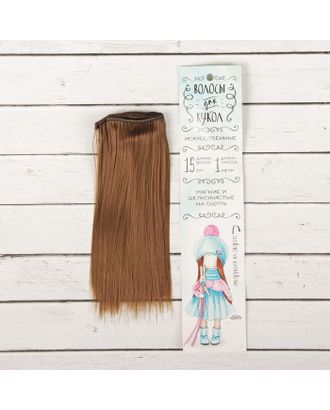Купить Волосы - тресс для кукол "Прямые" длина волос 15 см, ширина 100 см, цвет № 6 арт. СМЛ-3284-1-СМЛ2125919 оптом в Новочеркасске
