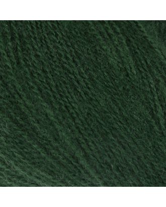 Пряжа "Angora real 40" 60% акрил, 40% шерсть 480м/100гр (563 тём.зелён) арт. СМЛ-20080-1-СМЛ2473747