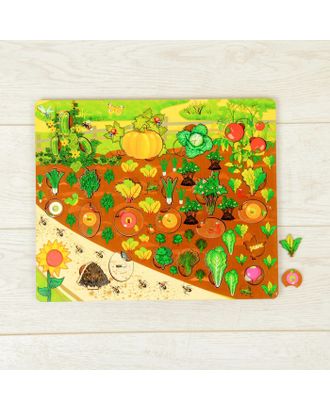 Набор «Овощи на грядке» арт. СМЛ-46937-1-СМЛ0002505130