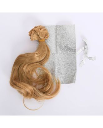 Купить Волосы‒тресс для кукол «Воздушные истории» набор для декора, 25 × 150 см арт. СМЛ-26331-1-СМЛ3551435 оптом в Новочеркасске