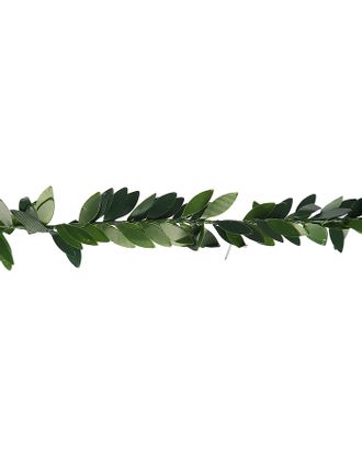 Тесьма пластик, металл "Зелёные листья" ширина 2 см намотка 2 метра арт. СМЛ-119281-1-СМЛ0003744990