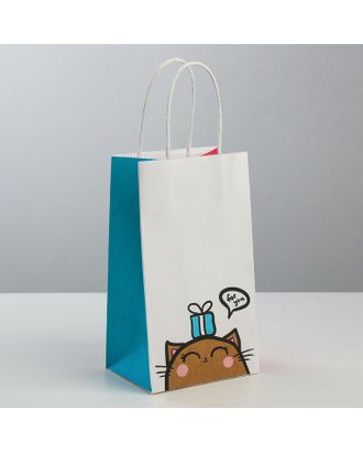Пакет подарочный крафтовый «Котик», 25 × 22 × 12 см арт. СМЛ-101083-3-СМЛ0003823476