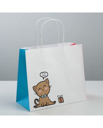 Пакет подарочный крафтовый «Котик», 25 × 22 × 12 см арт. СМЛ-101083-1-СМЛ0003823497