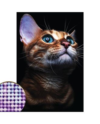 Алмазная вышивка с частичным заполнением «Взгляд кошки» 20 х 30 см на холсте арт. СМЛ-37624-1-СМЛ0004176754