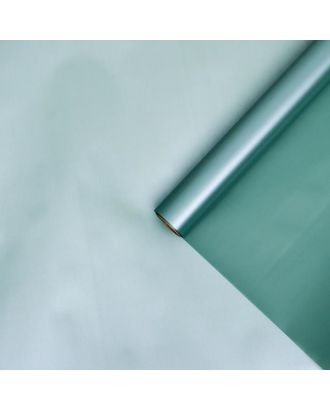 Пленка для цветов "Нежность", пастельно-зелёный, 0,58 х 10 м арт. СМЛ-101526-1-СМЛ0004758614