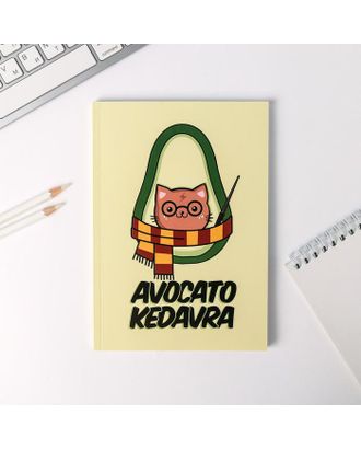 Ежедневник в тонкой обложке Avocato kedavra А5, 80 листов арт. СМЛ-177801-1-СМЛ0004991925