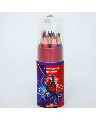 Карандаши цветные с точилкой в тубусе МИНИ, 12 цветов, "Супергерой", Человек-Паук арт. СМЛ-200337-1-СМЛ0005012655