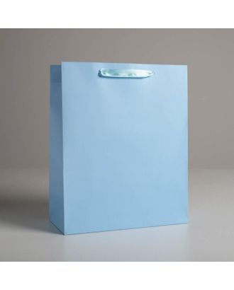 Пакет подарочный «Голубой», 26 х 32 х 12  см арт. СМЛ-115681-1-СМЛ0005047668