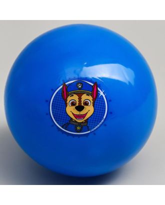Мяч детский Paw Patrol "Гончик", 16 см, 50 гр, цвета МИКС арт. СМЛ-136135-1-СМЛ0005083416