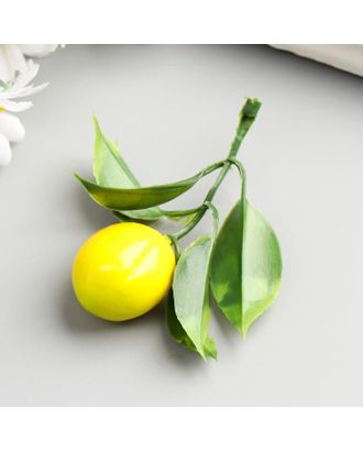 Купить Декор для творчества "Лимон с листьями" набор 10 шт 7х2,4х2,4 см арт. СМЛ-111171-1-СМЛ0005112592 оптом в Новочеркасске