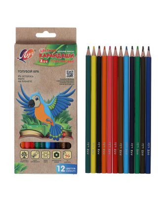 Цветные карандаши 12 цветов ZOO, пластиковые, шестигранные арт. СМЛ-187860-1-СМЛ0005274928