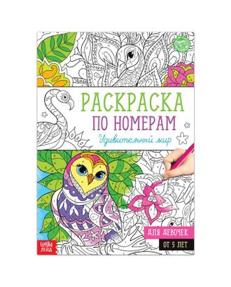Раскраска по номерам "Удивительный мир", 16 стр., формат А4 арт. СМЛ-111228-1-СМЛ0005298377