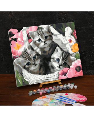 Картина по номерам на холсте с подрамником «Котята» 40х50 см арт. СМЛ-208569-1-СМЛ0005351081