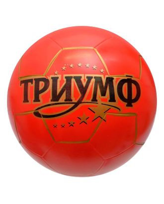Мяч «Триумф», диаметр 200 мм, МИКС арт. СМЛ-130075-1-СМЛ0005800117