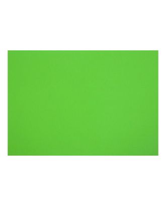 Картон цветной тонированный А2, 200 г/м2, зелёный арт. СМЛ-179373-1-СМЛ0006580648